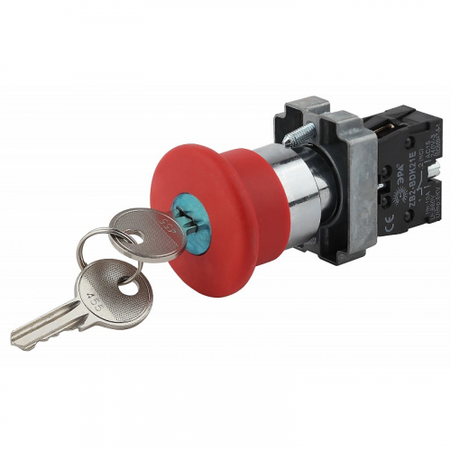 BBG50-LAY5-K04E Кнопка ЭРА BBG50-LAY5-K04E LAY5-BS142 Грибок с ключом красный d22мм 240В 1р, цена за 1 шт