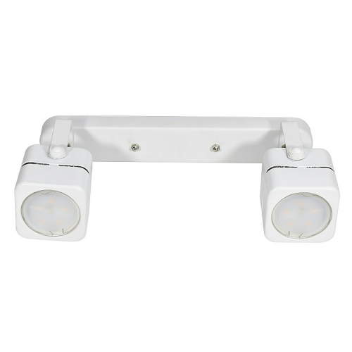 Светильники накладные Fametto DLC-S613 GU10x2 WHITE, цена за 1 шт