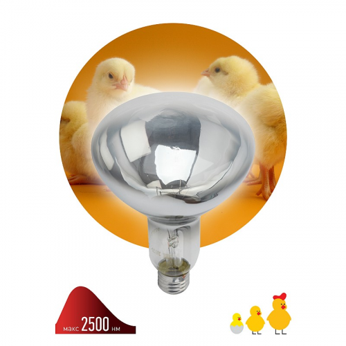ИКЗ 220-250 R127 E27 Инфракрасная лампа ЭРА ИКЗ 220-250 R127 кратность 1 шт Е27 / E27 для обогрева животных и освещения 250 Вт, цена за 1 шт