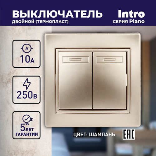 1-104-04 Выключатель Intro Plano 1-104-04 двухклавишный, 10А-250В, IP20, СУ, шампань, цена за 1 шт