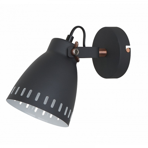Camelion WML-428-1 C02 чёрный (Светильник настенный New York,1х E27, 40Вт, 230В, металл), цена за 1 шт
