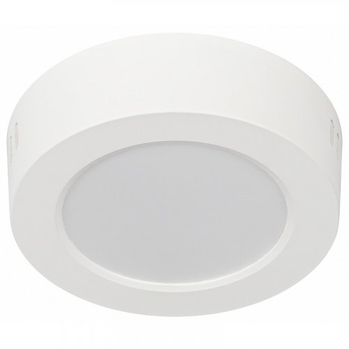 LED 19-12-6K Светильник светодиодный ЭРА LED 19-12-6K накладной круглый 12Вт 6500К, цена за 1 шт