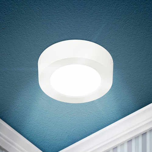 LED 19-12-4K Светильник светодиодный ЭРА LED 19-12-4K накладной круглый 12Вт 4000К, цена за 1 шт