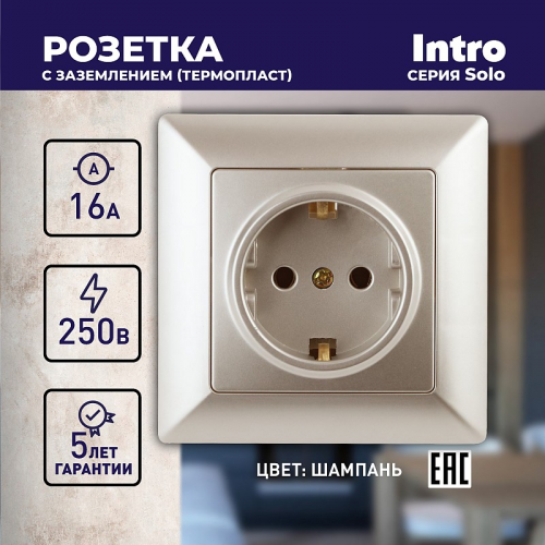 4-202-04 Розетка Intro Solo 4-202-04 с заземлением 2P+E Schuko, 16А-250В, IP20, СУ, шампань, цена за 1 шт