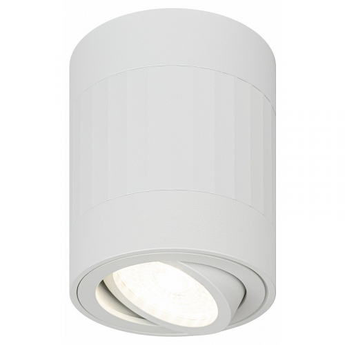OL34 WH Светильник настенно-потолочный спот ЭРА OL34 WH MR16 GU10, белый, цена за 1 шт