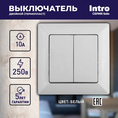 4-104-01 Выключатель Intro Solo 4-104-01 двухклавишный 10А-250В, IP20, СУ, белый, цена за 1 шт