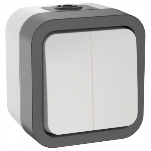 TORS Выключатель двухклавишный 10А IP55 TS205 серо-белый IEK, цена за 1 шт