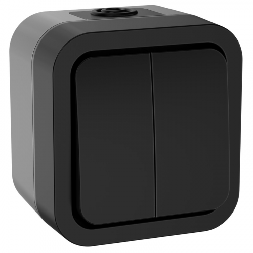 TORS Выключатель двухклавишный 10А IP55 TS105 графит IEK, цена за 1 шт