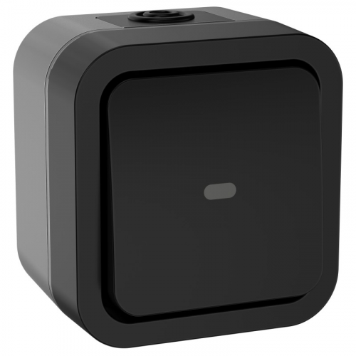 TORS Переключатель одноклавишный с индикацией 10А IP55 TS102 графит IEK, цена за 1 шт