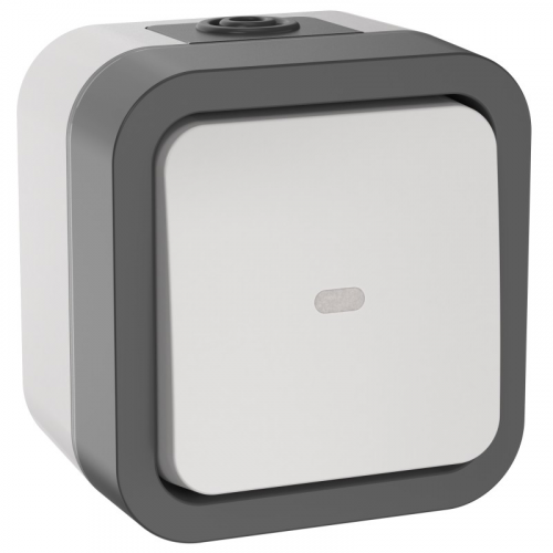 TORS Переключатель одноклавишный с индикацией 10А IP55 TS202 серо-белый IEK, цена за 1 шт