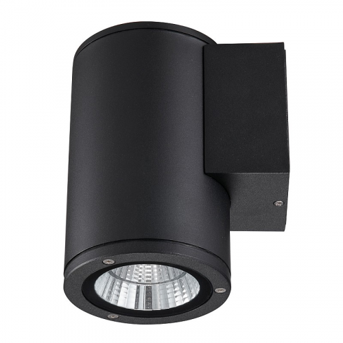 Уличный свет Uniel ULU-S21С-12W/6400K IP65 BLACK, цена за 1 шт