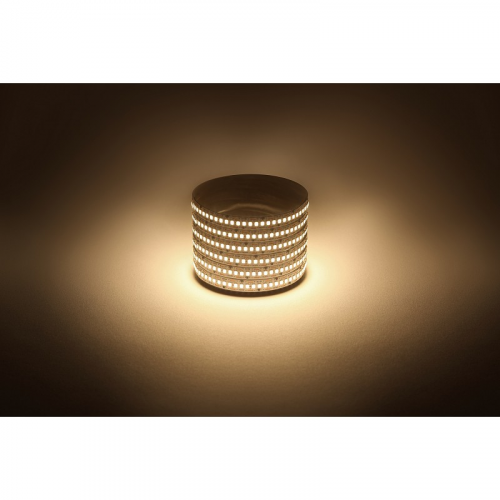 LS2835-19,2-240-12-3000K-IP20-1 year-5m Светодиодная лента ЭРА LS2835 -19,2-240-12-3000K-IP20-1 year-5m теплый белый 5м, цена за 1 шт