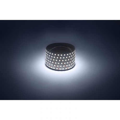 LS2835-9,6-120-12-6500K-IP20-1 year-50m Светодиодная лента ЭРА LS2835 -9,6-120-12-6500K-IP20-1 year-50m холодный белый 50м, цена за 1 шт