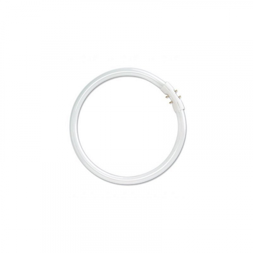 FC 22/830 2GX13 T5 (16mm) d230mm 3000K - кольцевая лампа OSRAM, цена за 1 шт
