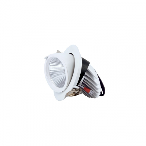FL-LED DLC 20W 4500K D135xd115x100 20W 1800Lm встраиваемый поворотный круглый, цена за 1 шт