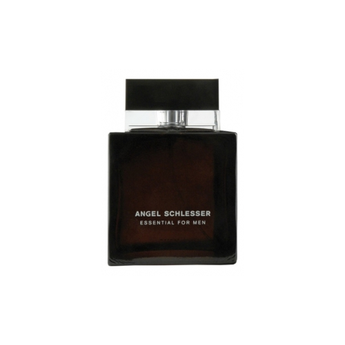 Туалетная вода Angel Schlesser Essential For Men 100ml (муж)