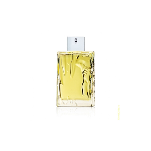 Туалетная вода Sisley EAU D'IKAR 100ml (муж)
