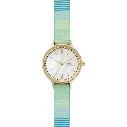 Женские часы Skagen SKW2905