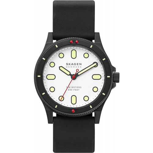 Мужские часы Skagen SKW6667