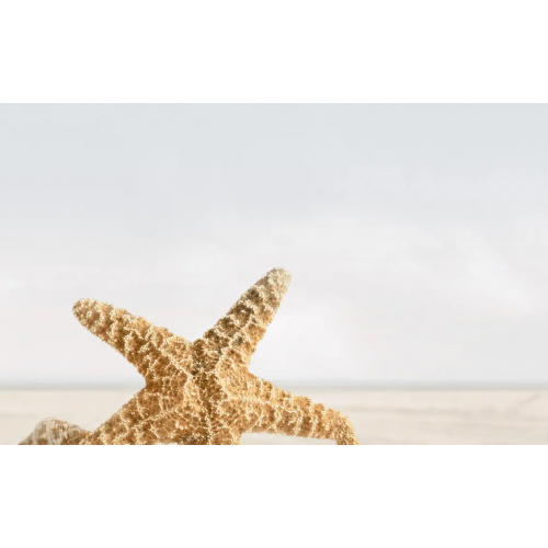 Коллекция Golden Tile Summer Stone Holiday Summer Stone Holiday №3 В41331 панно настенное