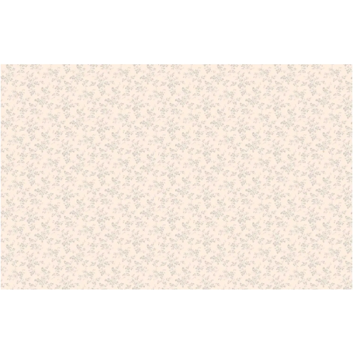 Обои флизелиновые Loymina Boudoir GT7 002