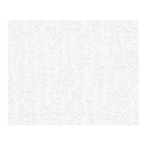Обои виниловые на флизелиновой основе AS Creation Black & White 4 2409 10
