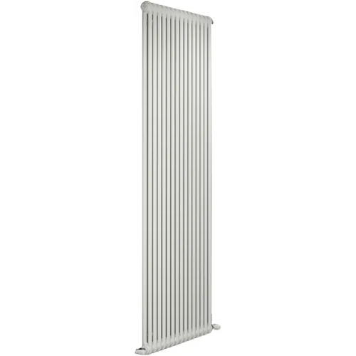 Радиатор стальной трубчатый Irsap Tesi 2 2200 12 секций 540*2202 мм белый 01 боковое 1/2