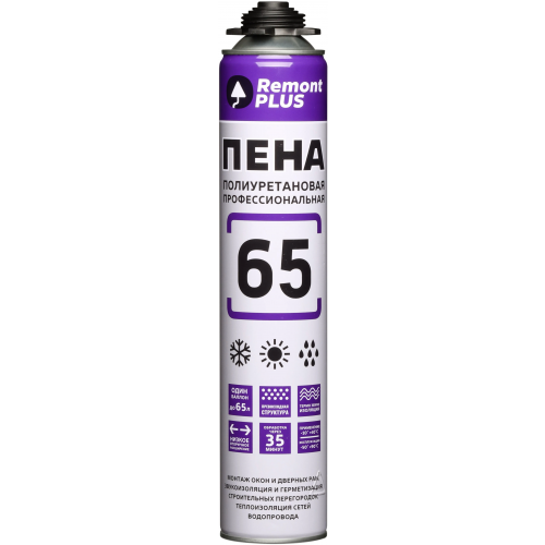 Пена монтажная всесезонная Masterteks Remont Plus 65 Pro 745 мл