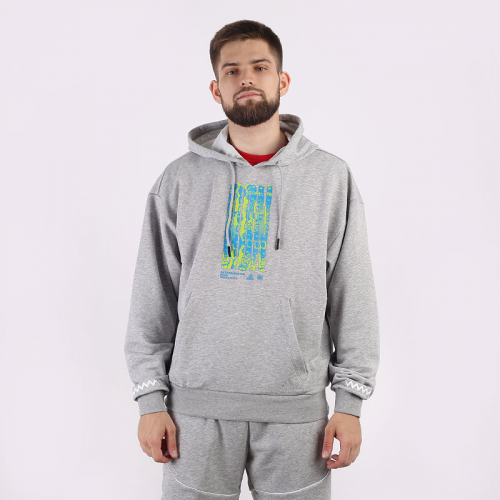 Толстовка adidas DM PO Hoodie GE4147