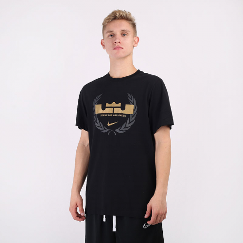 Футболка Nike Dri-FIT LeBron Logo Basketball T-Shirt CV2047-010