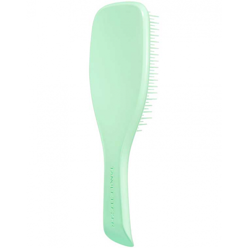 Расческа Tangle Teezer The Wet Detangler Mint Karma