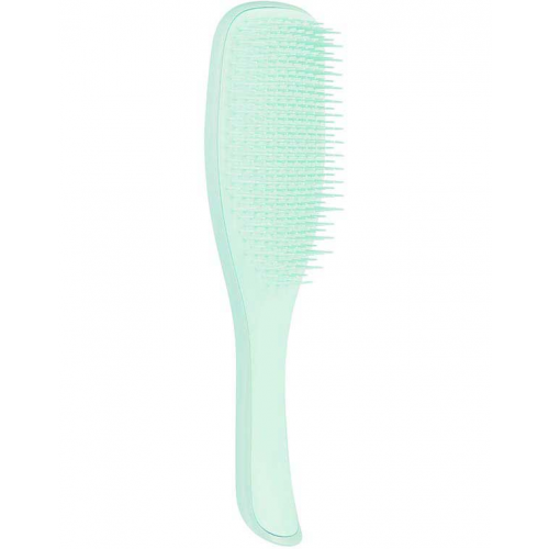 Расческа Tangle Teezer The Wet Detangler Fine & Fragile Sea Spray Green