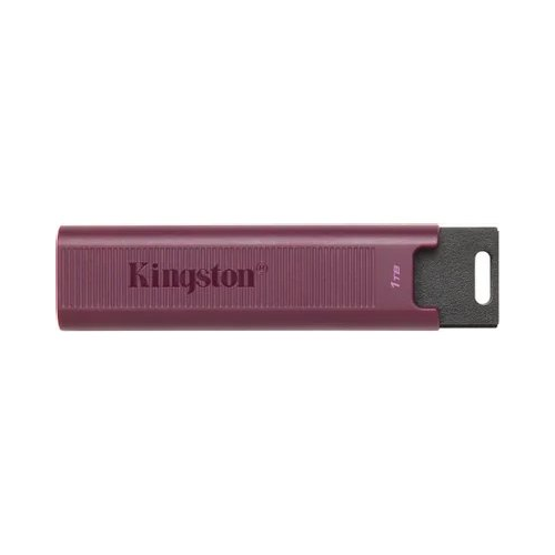 Kingston 1TB