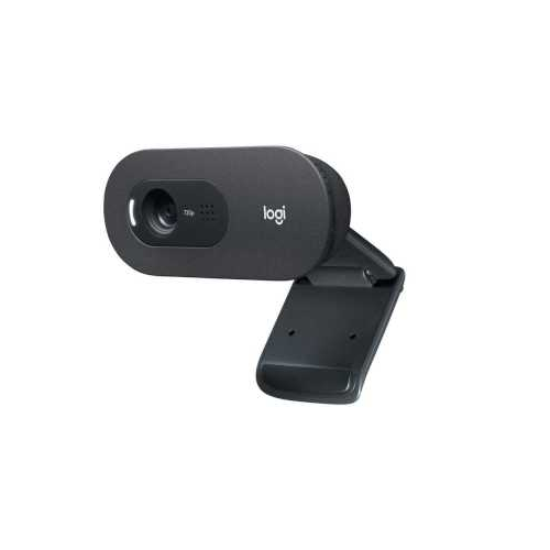 Logitech C505 HD