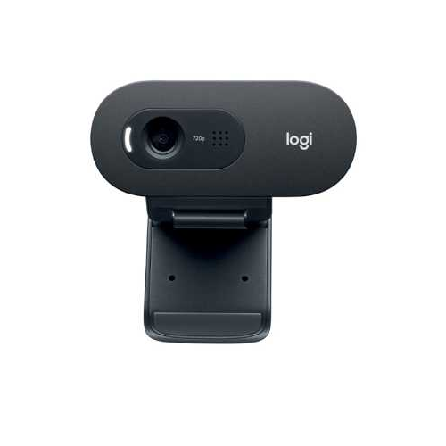 Logitech C505e