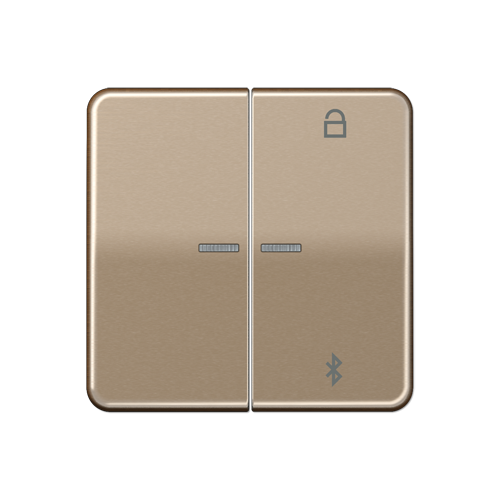 CD 500/CD plus Таймер универсальный Bluetooth бронза Jung CD1751BTGB