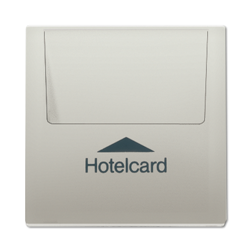  Накладка карточного выключателя "HOTELCARD" Jung LS серия ES2990CARD