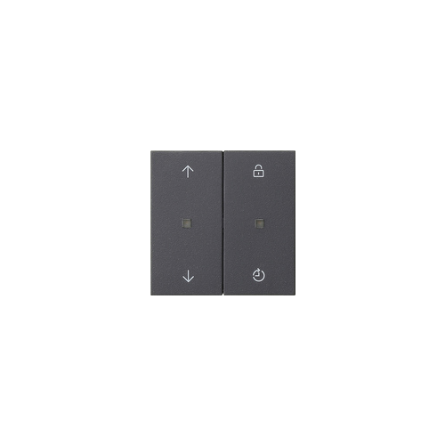  Накладка управления Memory System 3000 Антрацит Gira 536328