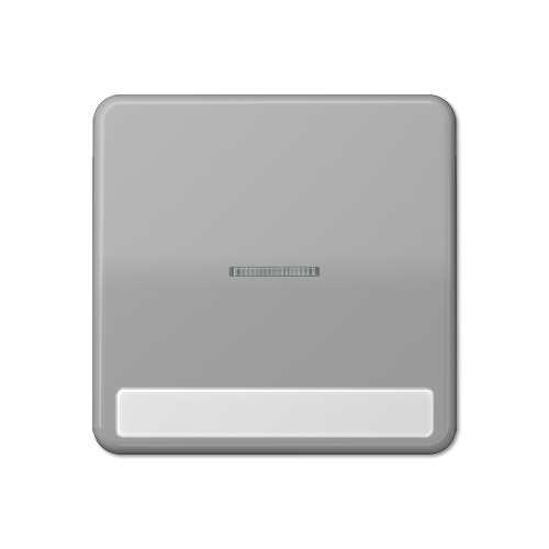  CD 500/CD plus Серый Клавиша 1-я с/п с полем для надписи Jung CD590NAKO5GR