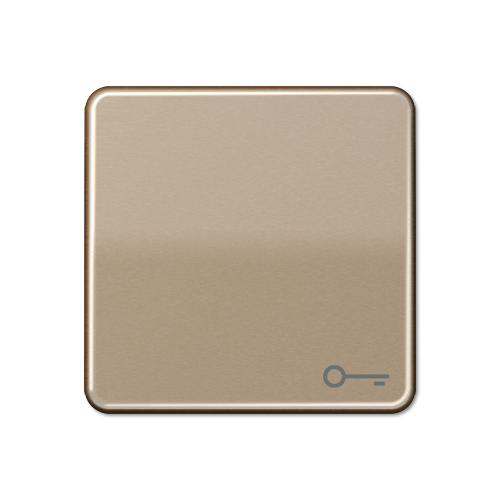  CD 500/CD plus Бронза Клавиша 1-я с символом "КЛЮЧ" Jung CD590TGB