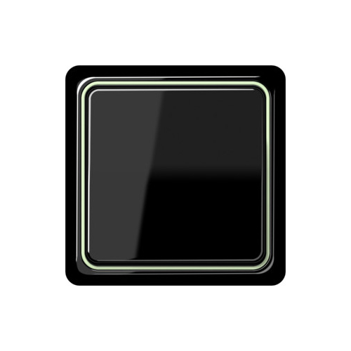  Рамка внутренняя CD Plus Светло-зеленый 1-постовая Jung CDP81LGN