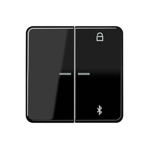  CD 500/CD plus Таймер универсальный Bluetooth черный Jung CD1751BTSW