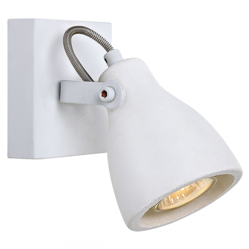 Настенно-потолочный светильник Lussole Loft LSP-9822
