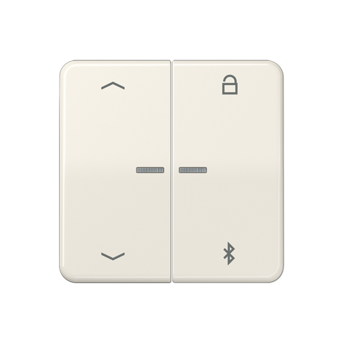  CD 500/CD plus Таймер универсальный Bluetooth «стрелки» слоновая кость Jung CD1751PBT