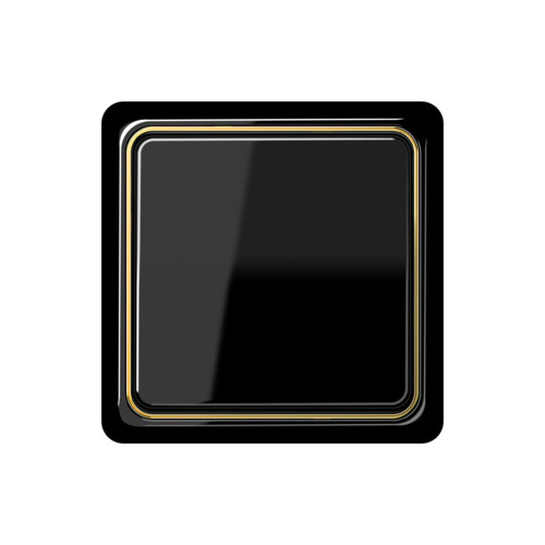  Рамка внутренняя CD Plus Полированное золото 1-постовая Jung CDP81GGO