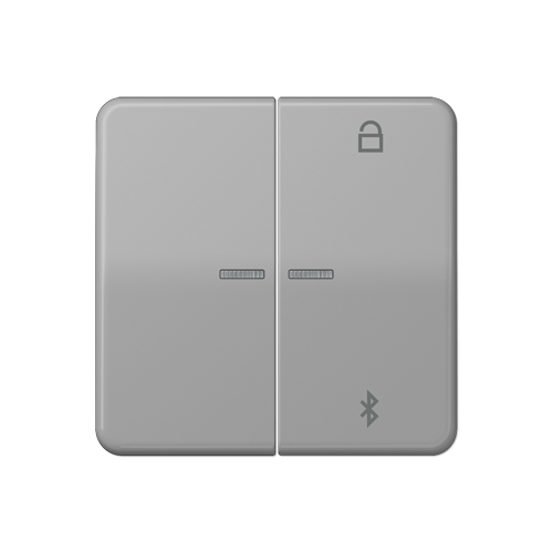  CD 500/CD plus Таймер универсальный Bluetooth серый Jung CD1751BTGR