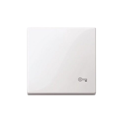  Клавиша с пиктограммой «ключ» белый Merten MTN3303-0319