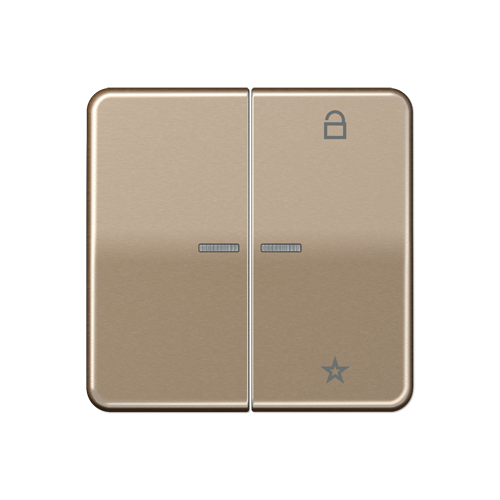  CD 500/CD plus Центральная плата универсальная бронза Jung CD1701GB