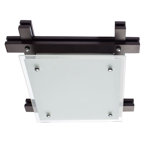 Настенно-потолочный светильник Arte Lamp Archimede A6462PL-2CK