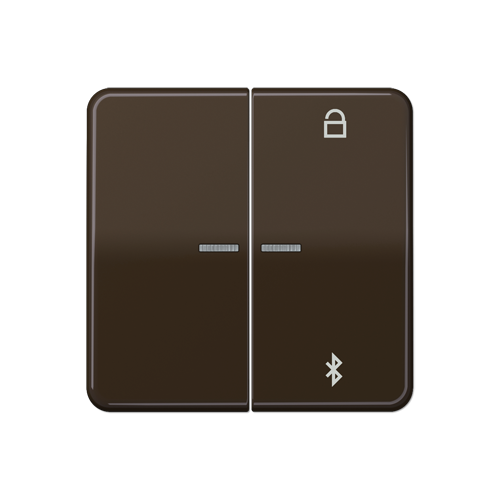  CD 500/CD plus Таймер универсальный Bluetooth коричневый Jung CD1751BTBR